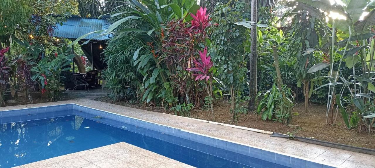 Bambu Hostel David Luaran gambar